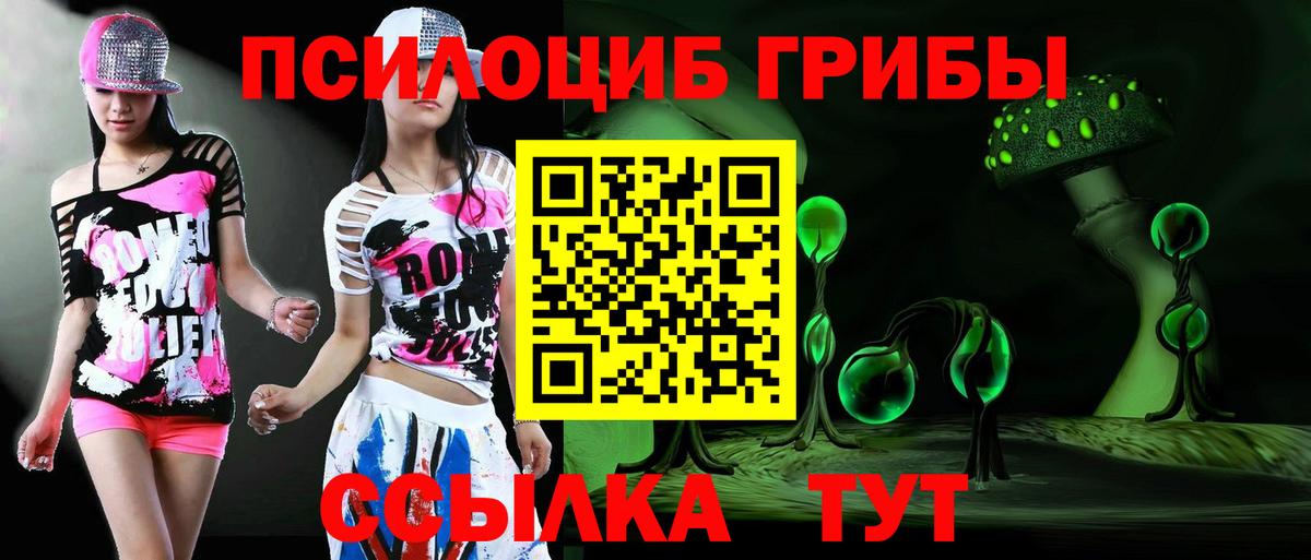 Псилоцибиновые грибы мицелий  Вход с VPN  Альметьевск 